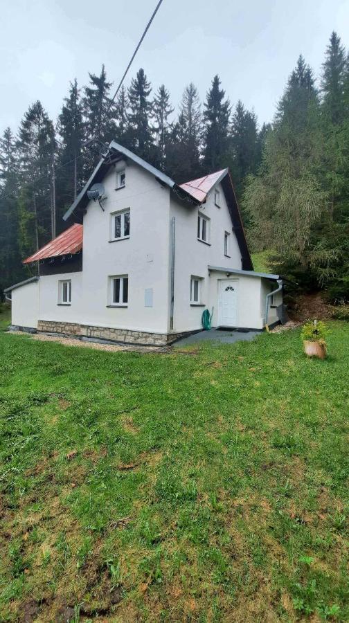 Holiday home Dum U Lesa - Nove Hamry
